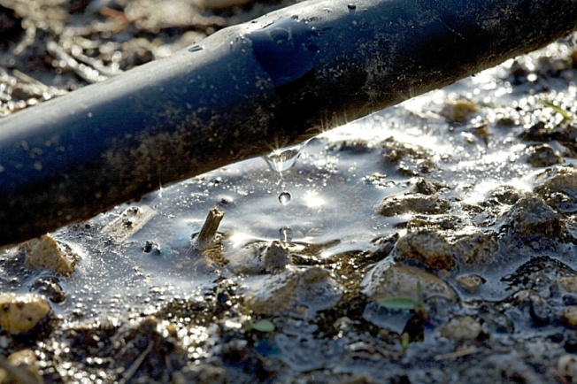 arrosage goutte a goutte en boucle