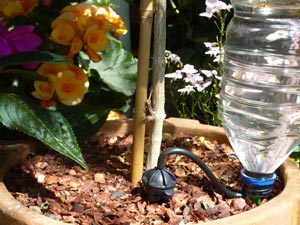 arrosage goutte a goutte fait maison