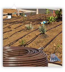 arrosage goutte a goutte hunter