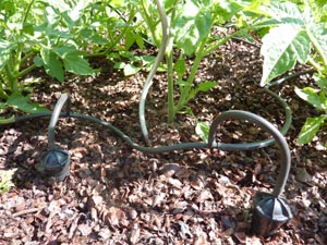 arrosage goutte a goutte jardin