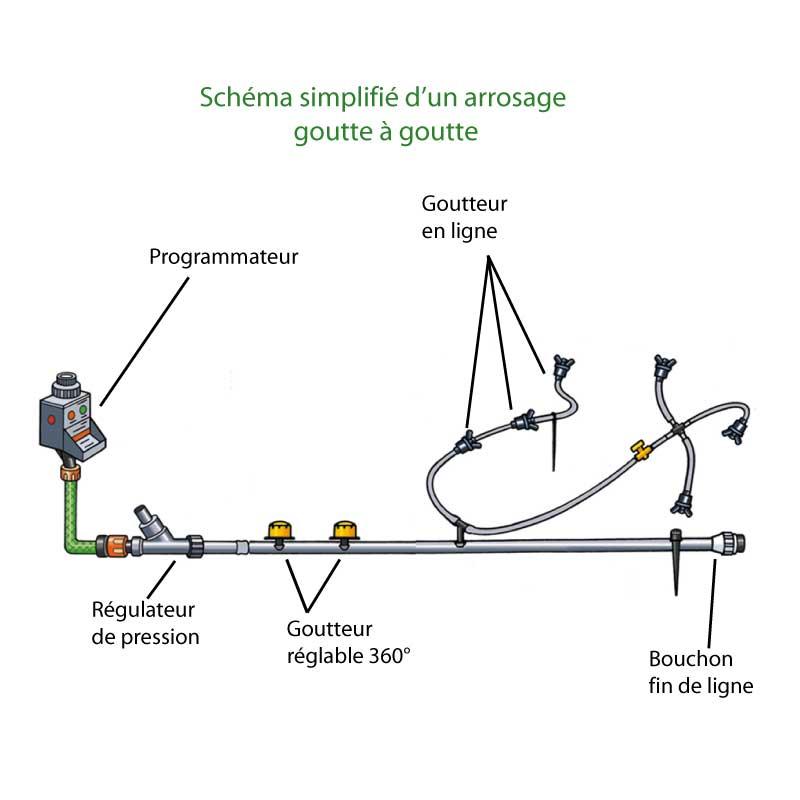 arrosage goutte a goutte jardin