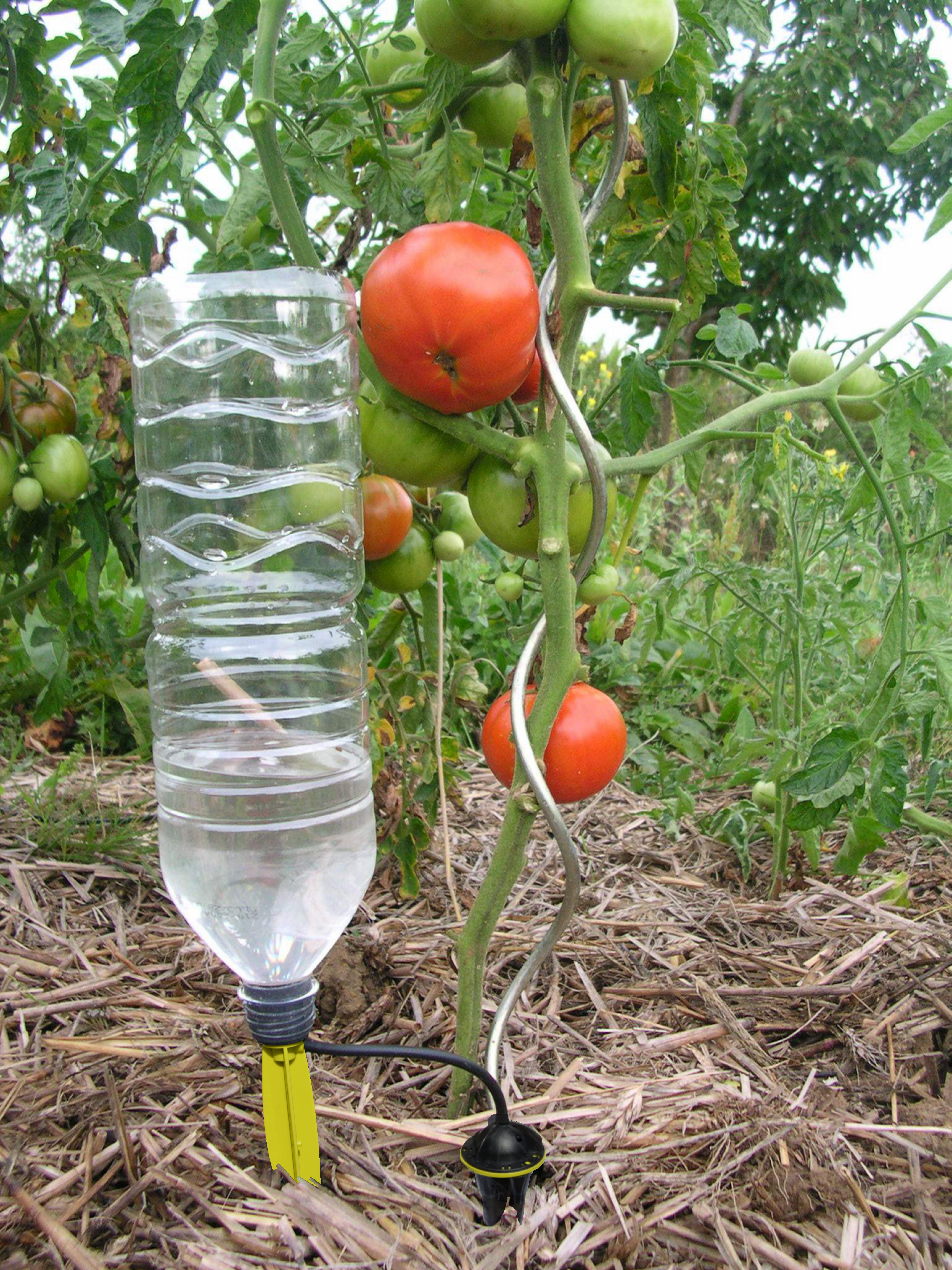 arrosage goutte a goutte jardiniere