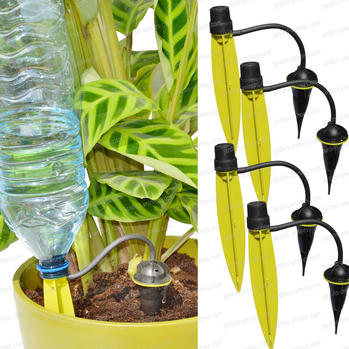 arrosage goutte a goutte jardiniere