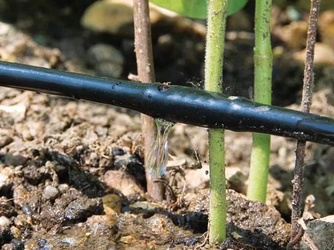 arrosage goutte a goutte mode d'emploi
