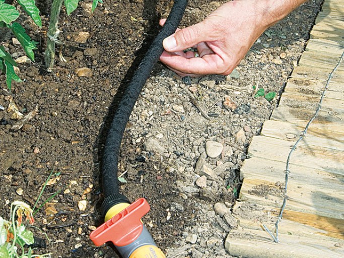 arrosage goutte a goutte rustica