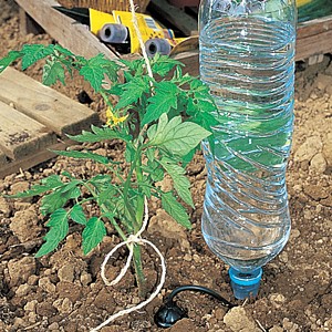 arrosage goutte a goutte rustica