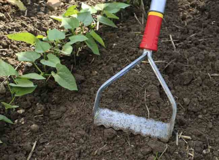 arrosage goutte a goutte rustica