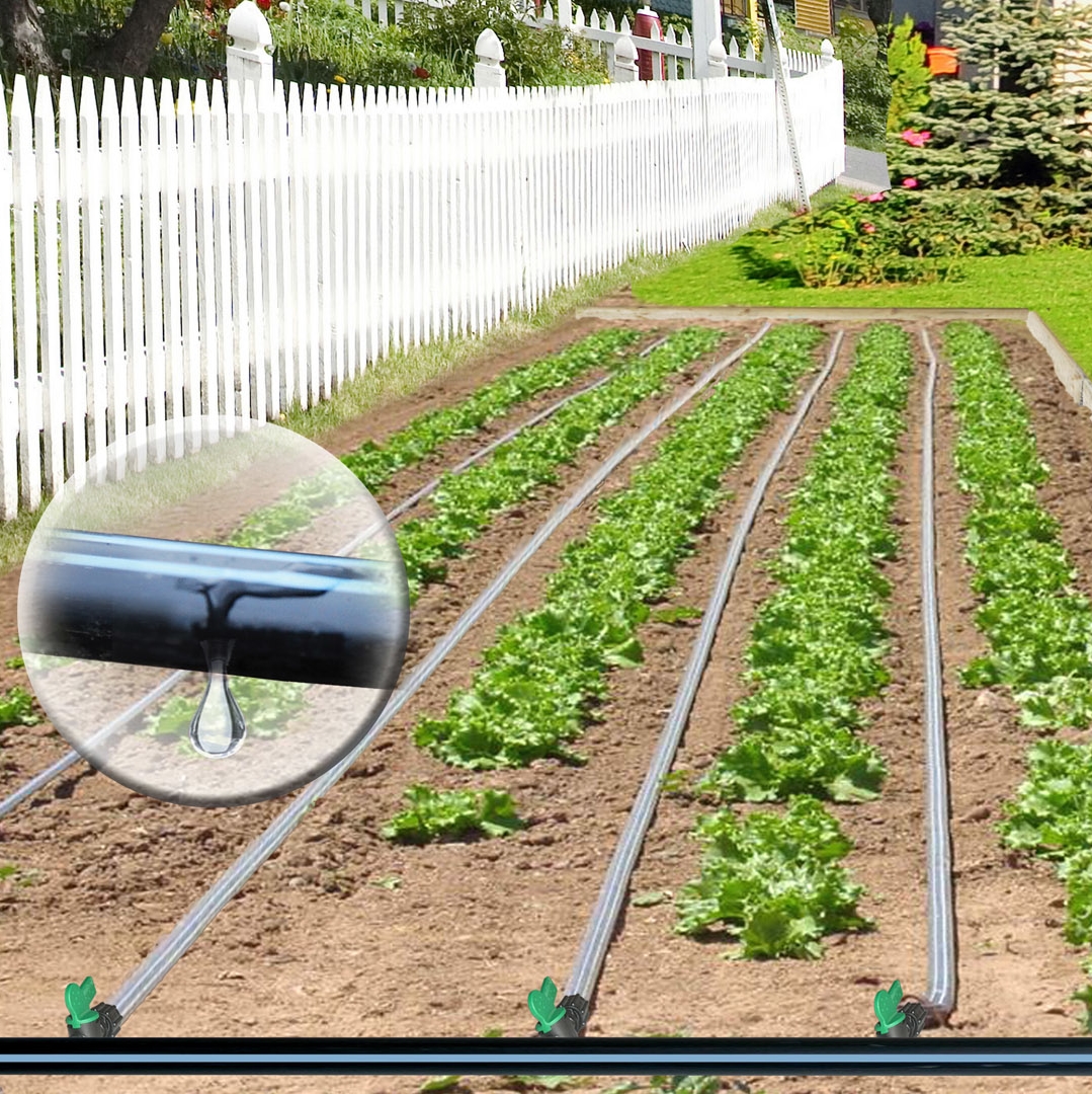 arrosage goutte a goutte salade