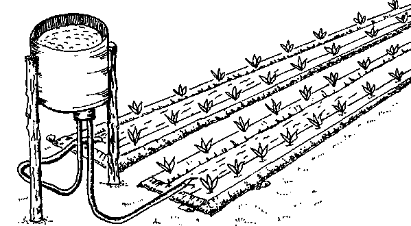 arrosage goutte a goutte serre