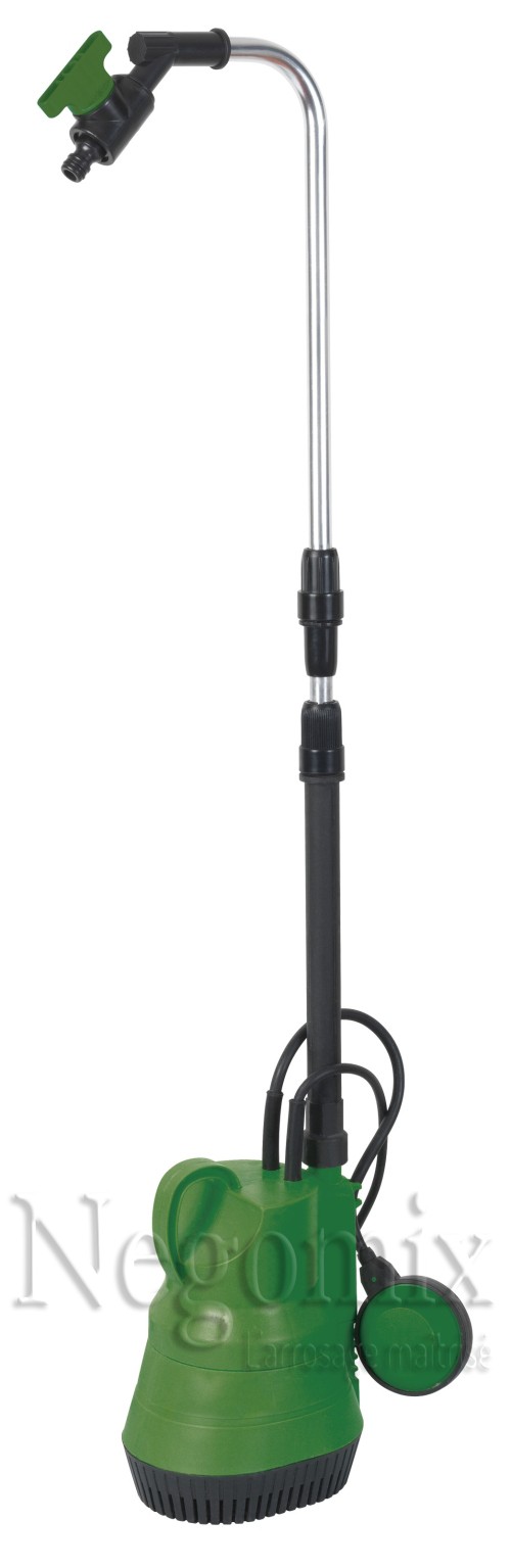 pompe arrosage immergee