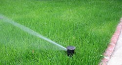 turbine arrosage pelouse